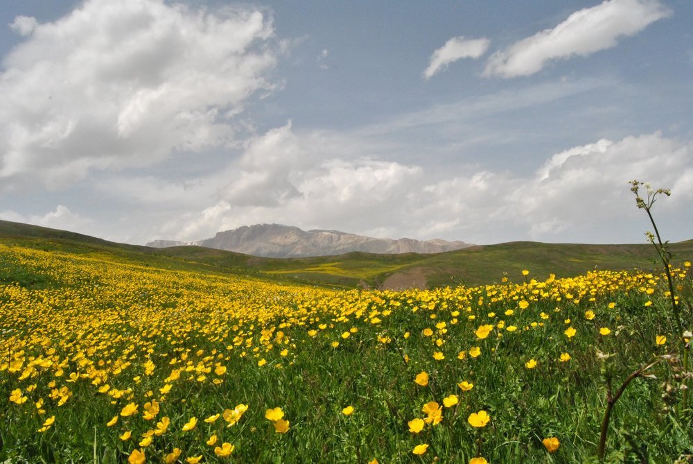 Photograph by Seymur Guliyev