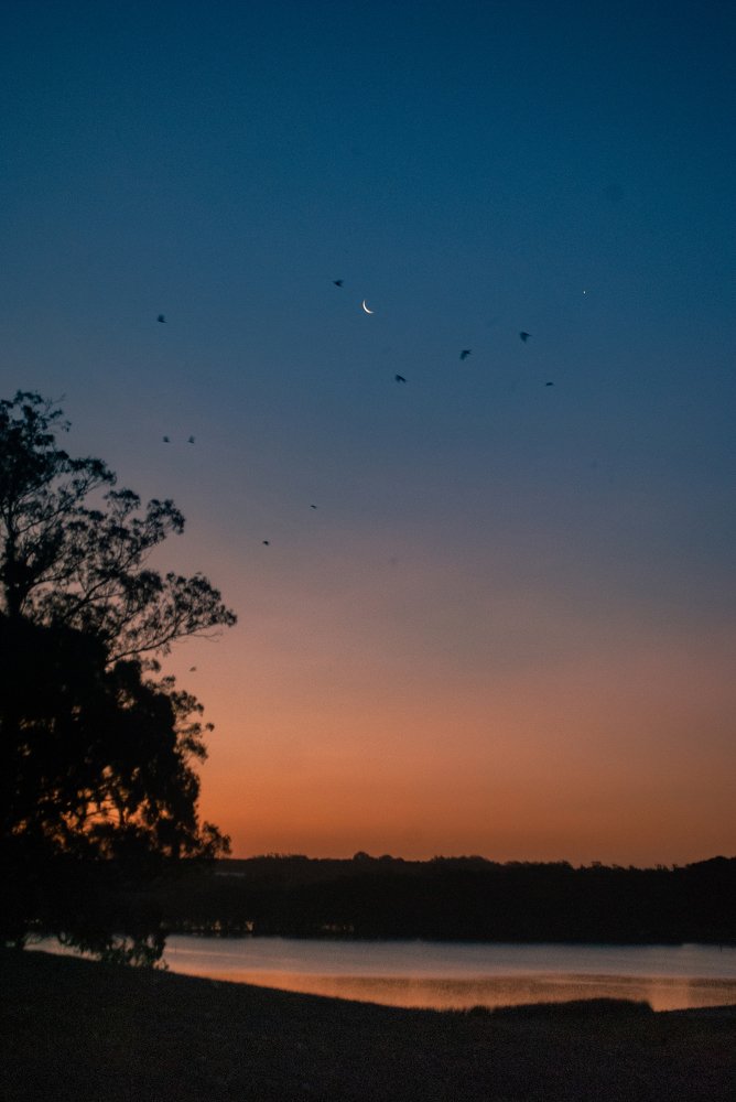 Photograph by Julia Alvarez