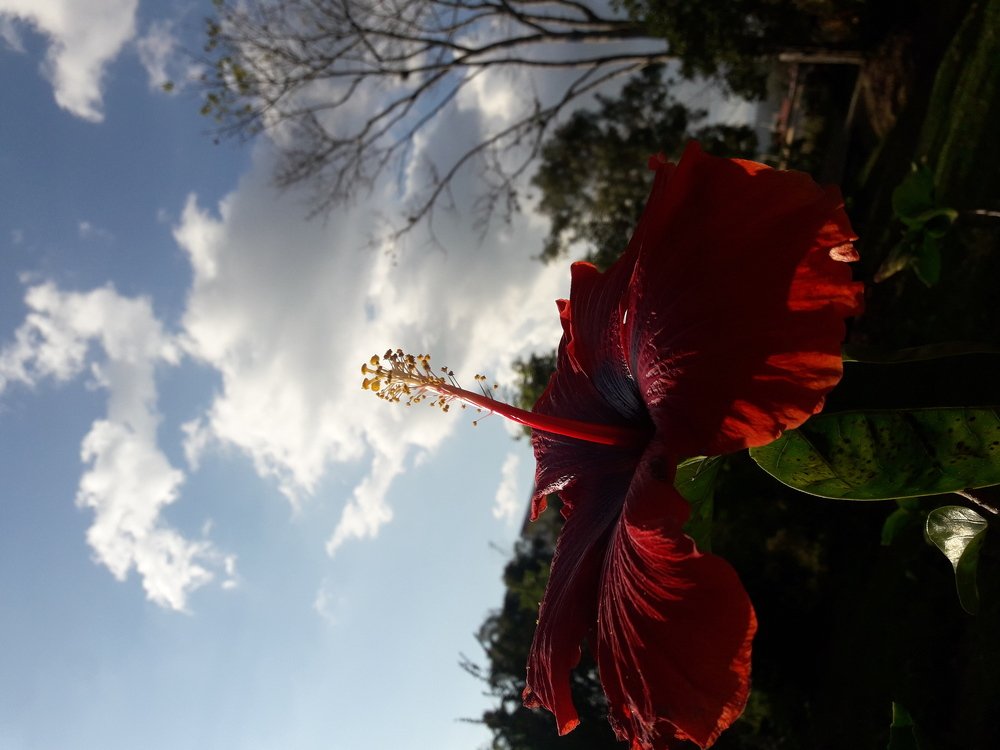 Photo #4572712