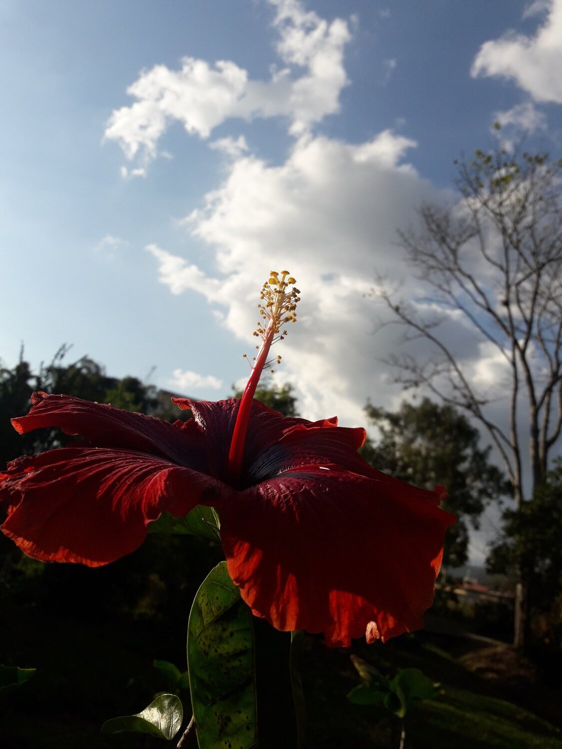 Photo #4572712