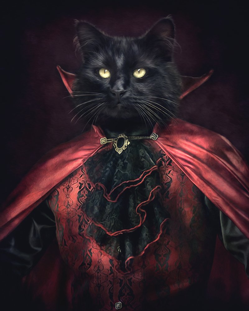 Shadow The Vampire Cat