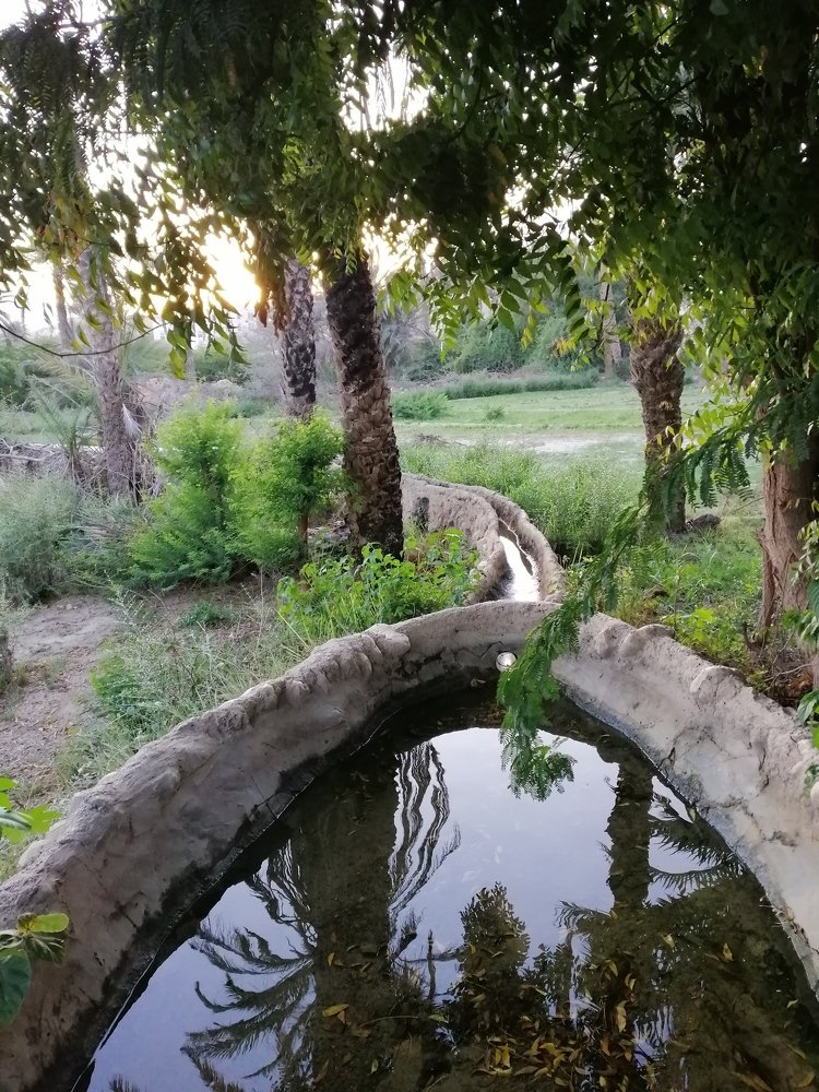 Photo #4572736