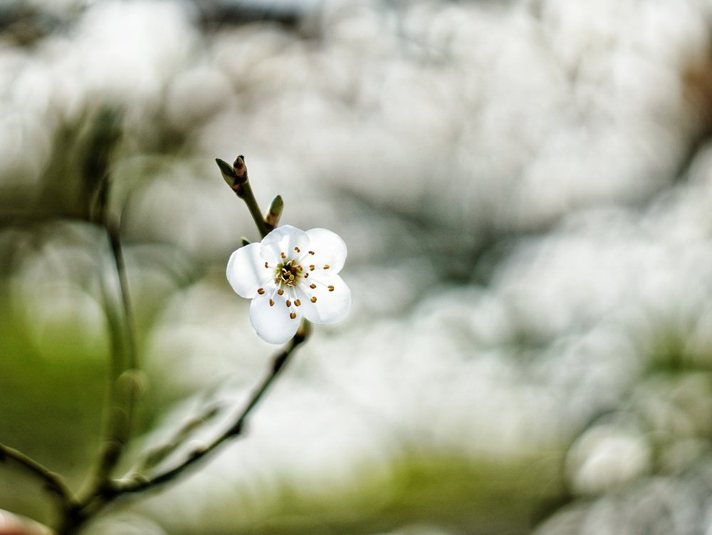 Photograph by Игорь Маслов