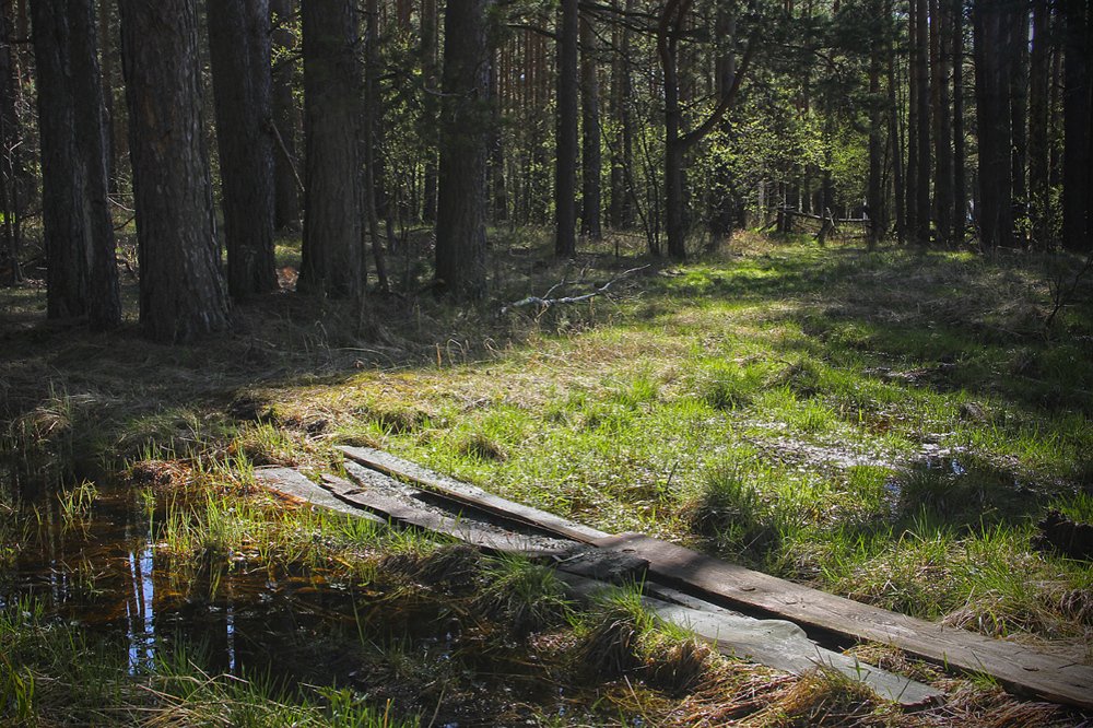 Photograph by Виталий Першин