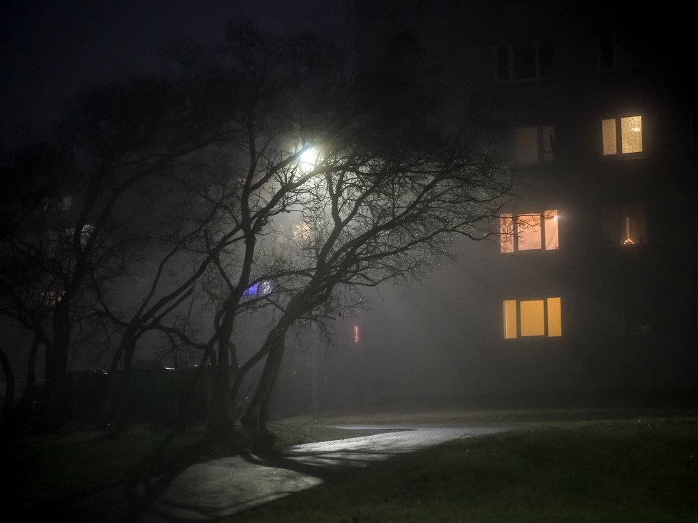 Photograph by Ольга Линк