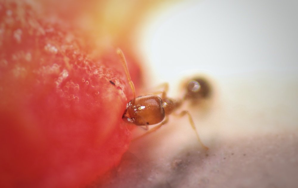 Photograph by atul mehta