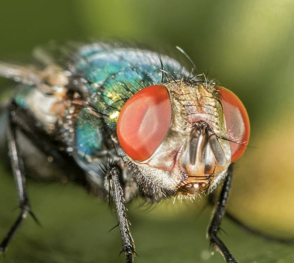 Photograph by atul mehta