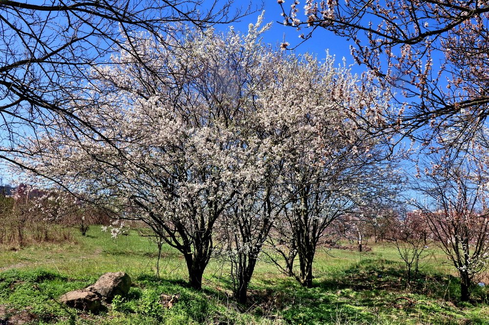 Photograph by Владимир Подкуйко
