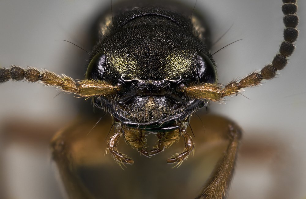 Фотография автора Armen  Maitesian