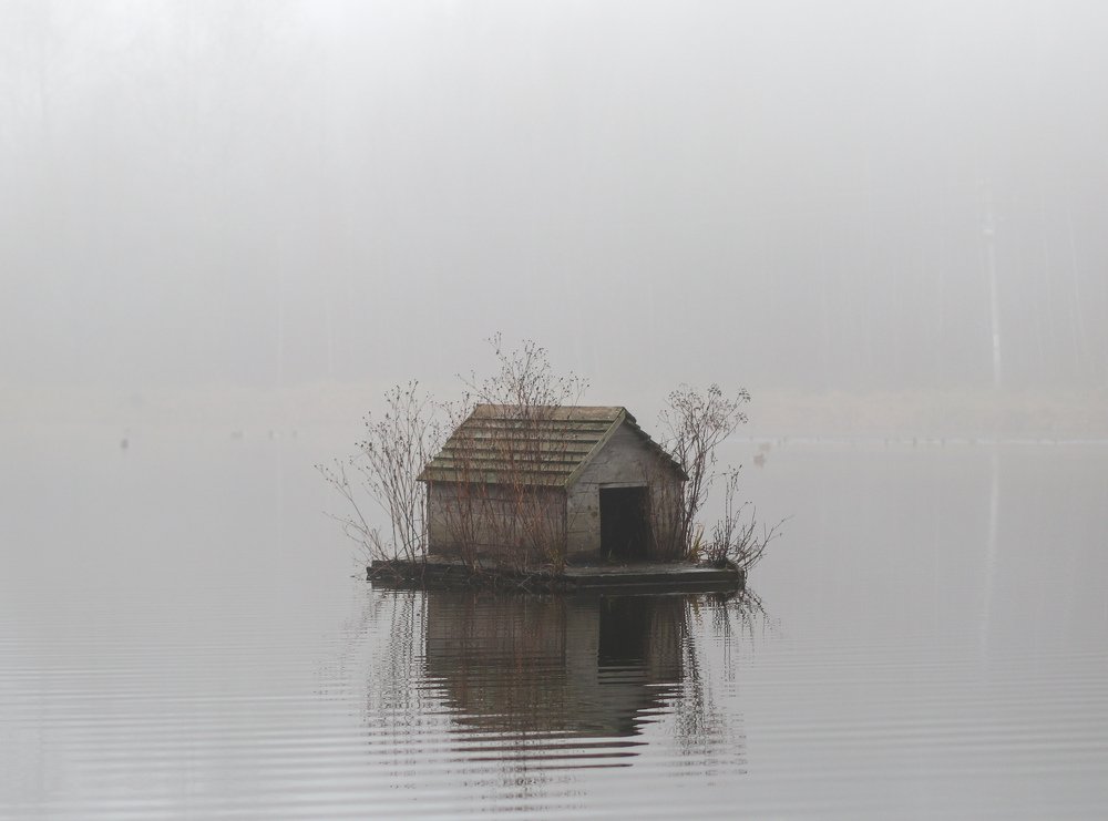 Photograph by Андрей Трубачев