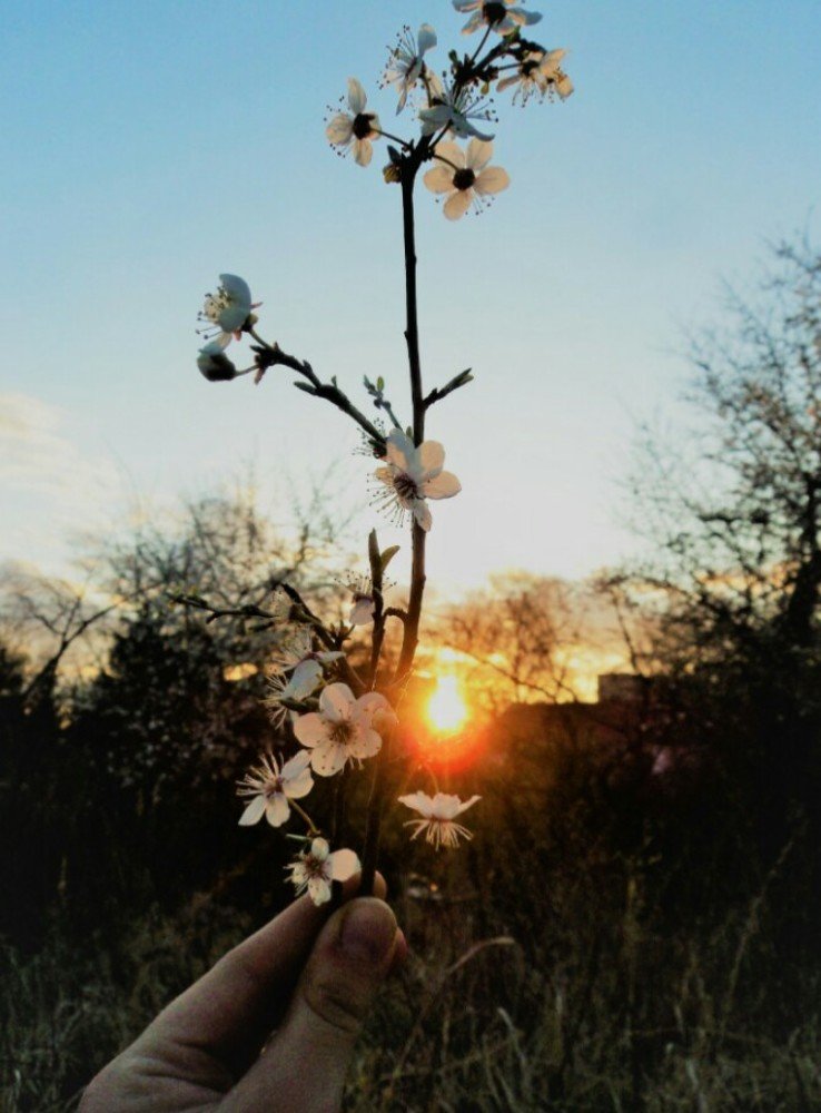 Photograph by Вита Кудрявцева