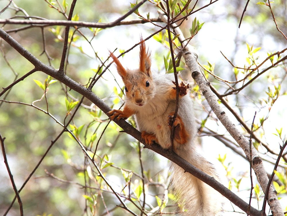 Photograph by Алексей Хазов