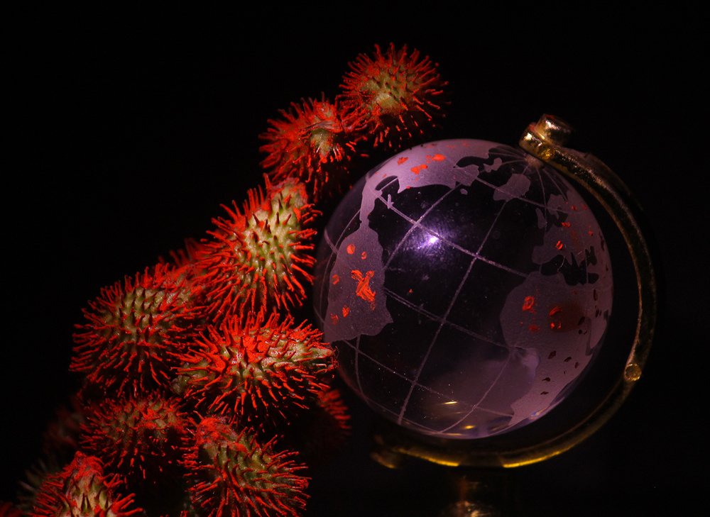 Corona Viras spread around the world