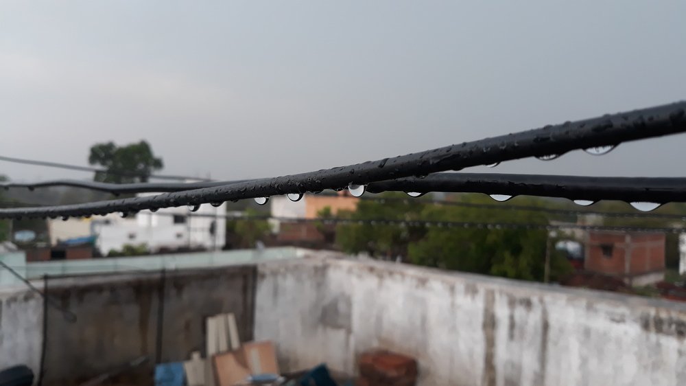 Photograph by Venkatesh Rao