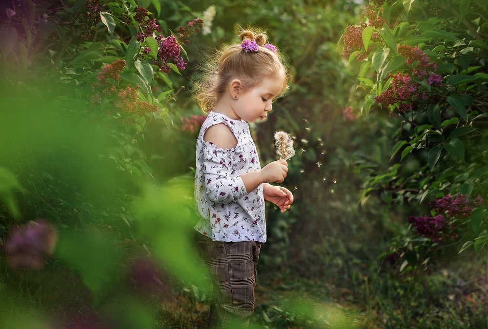 Одуванчик на ветру -как душа в чьих то руках!