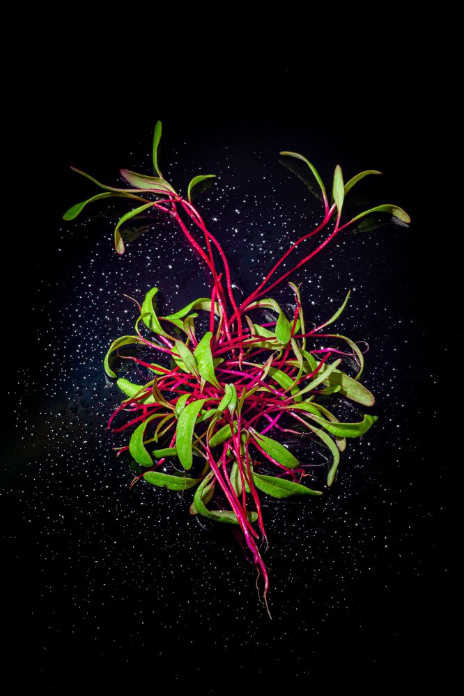 Photograph by Назар Назарук