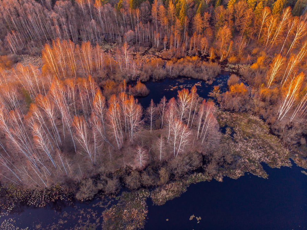 Photograph by Светлана Демина