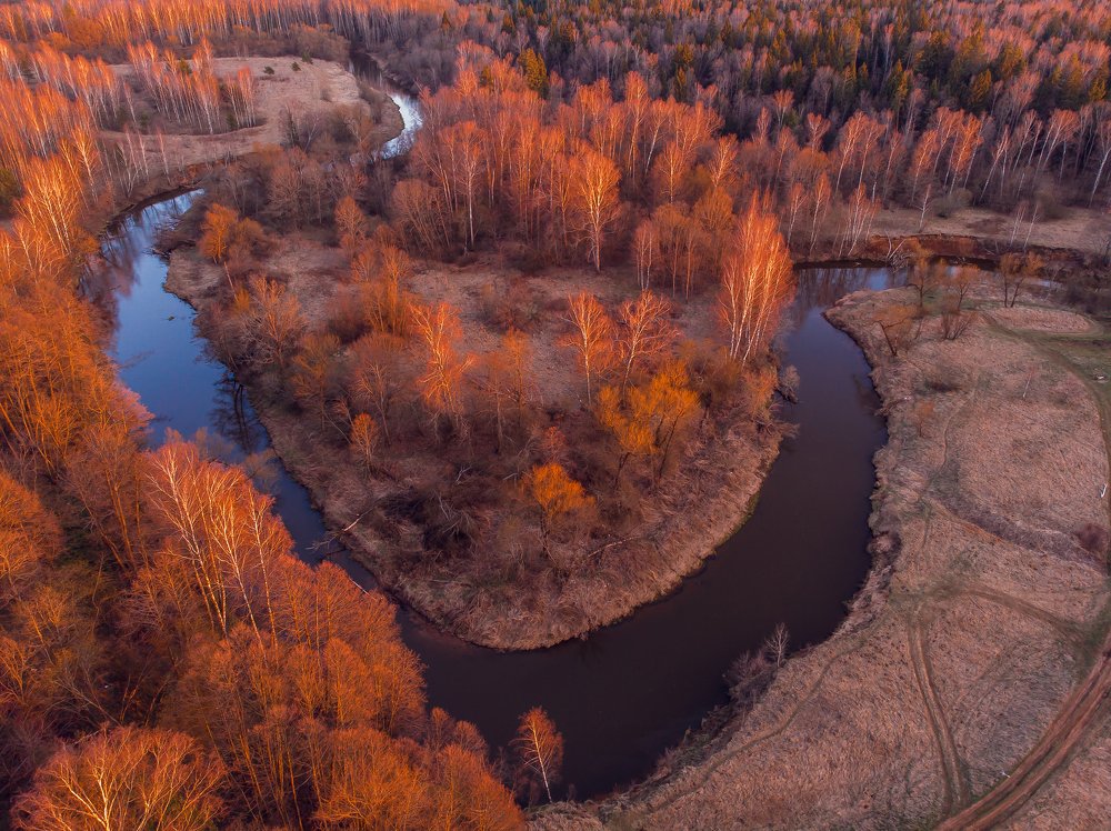 Photograph by Светлана Демина