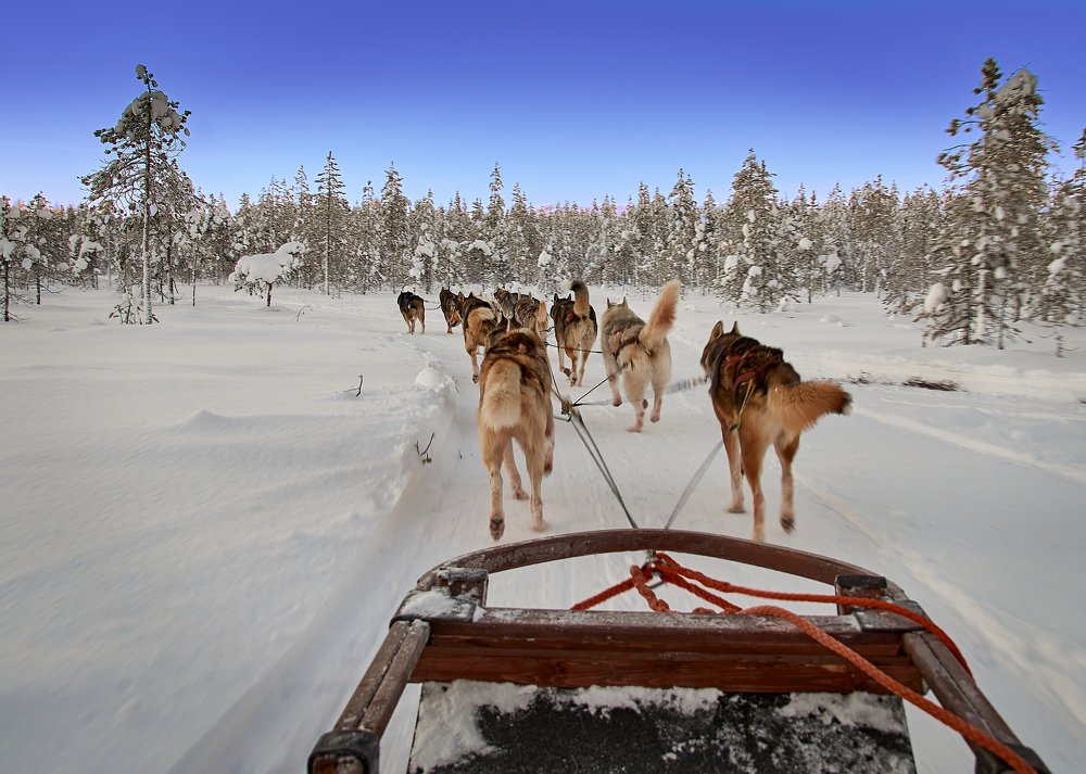 Photograph by Игорь Камов