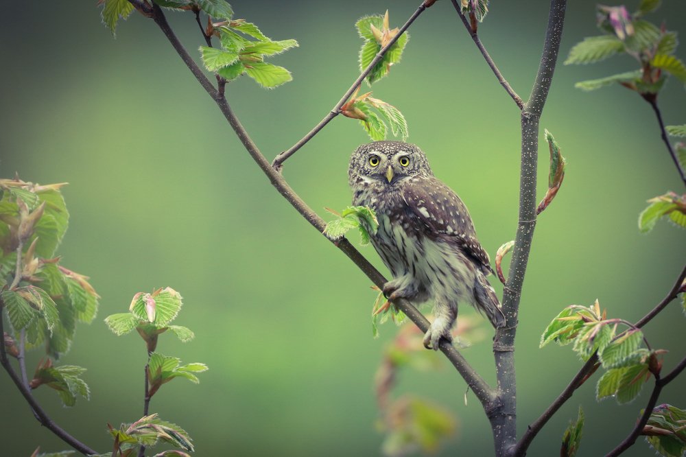 Photograph by Piotr Warzecha