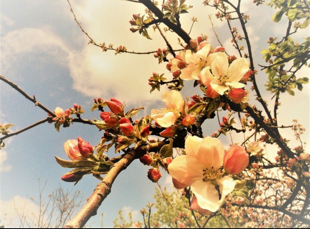 Photograph by Вита Кудрявцева