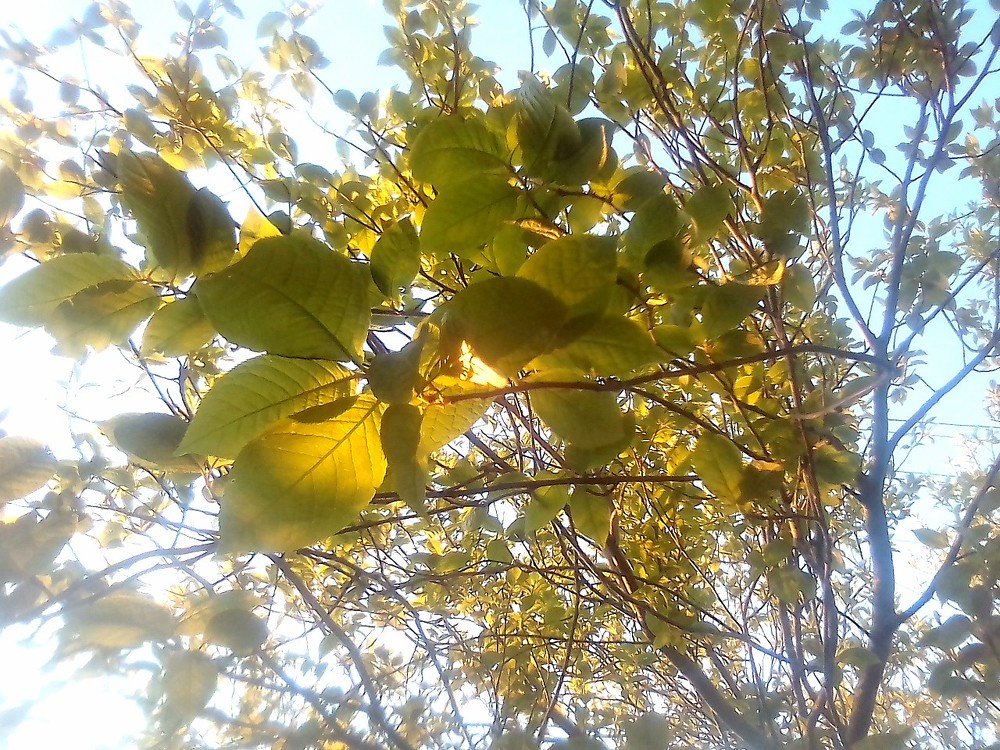 Photograph by Юлия Антонова
