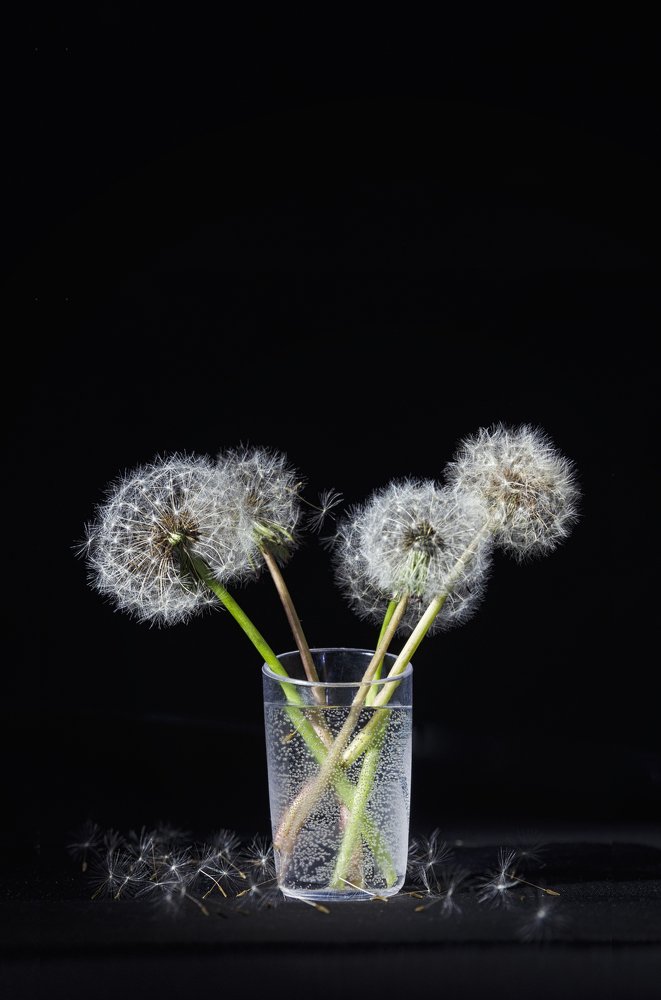 Photograph by Грязев Сергей