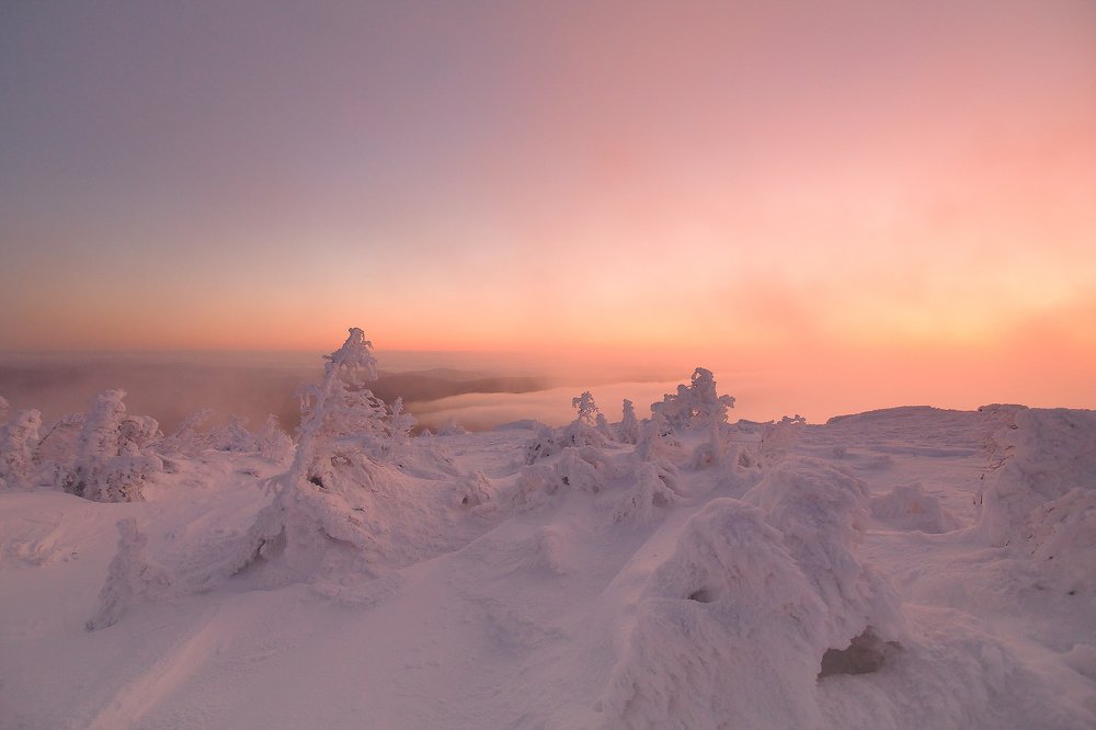 Photograph by Владимир Кочкин