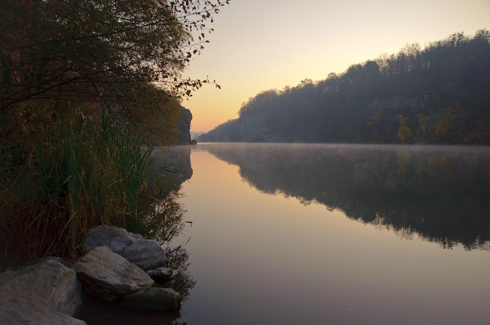 Тетерев. Утро.