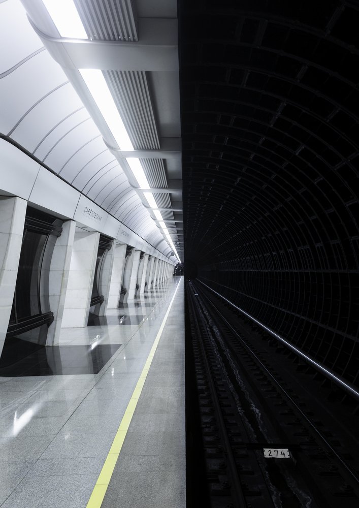 Savelovskaya station