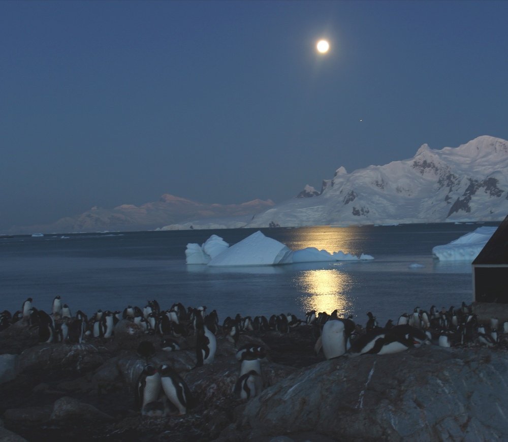 Photograph by Ivan Araneda Diaz