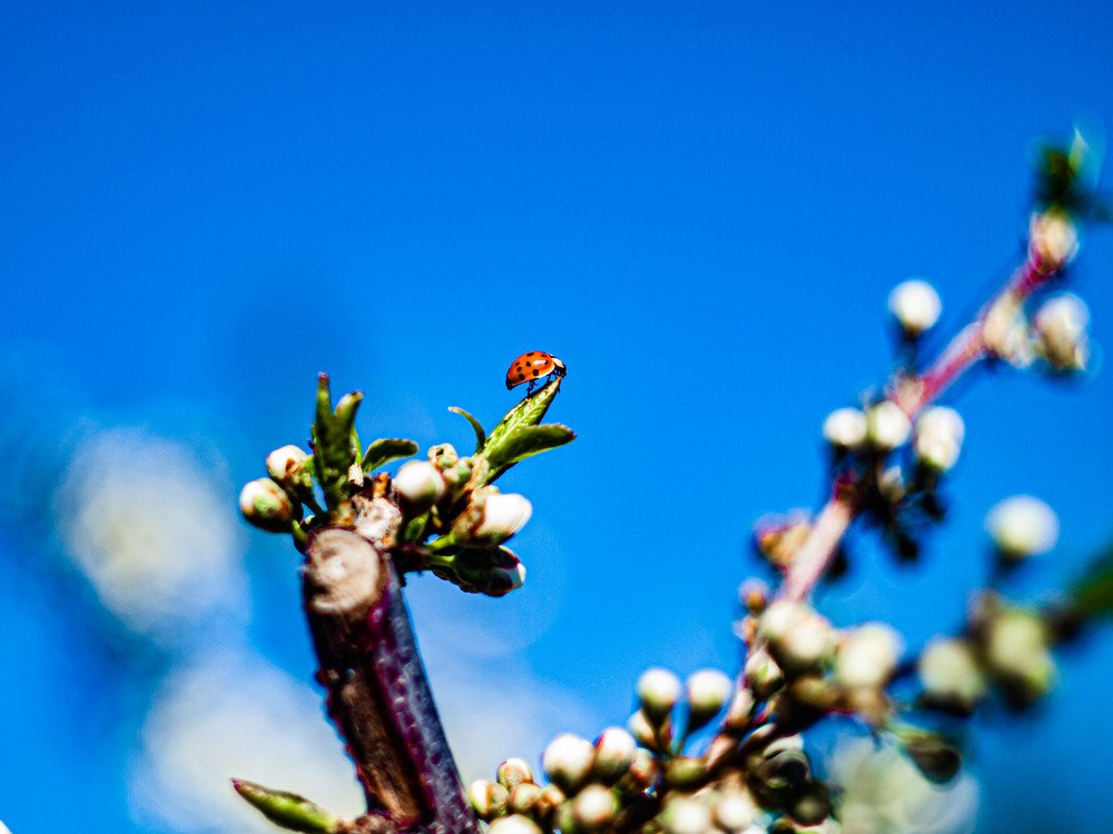 Photograph by Иван