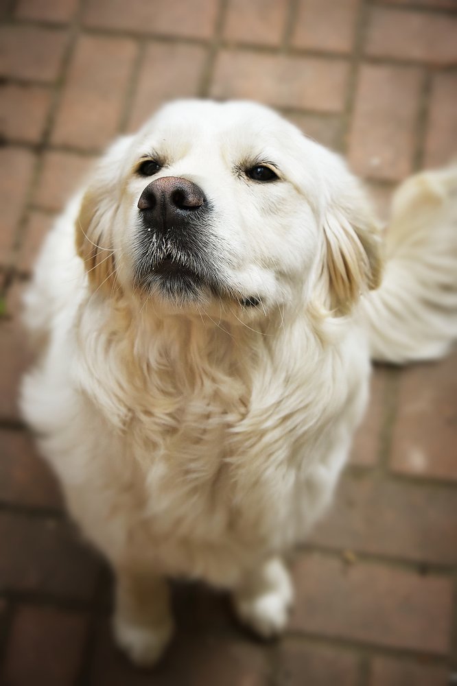 Photograph by Alyona Ginak