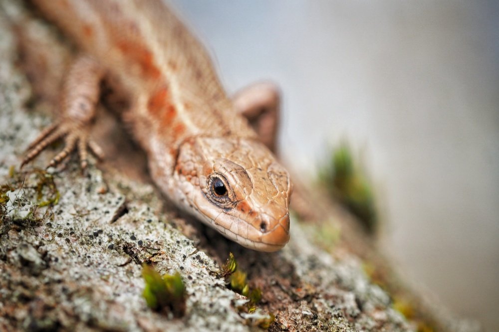 Photograph by Ирина