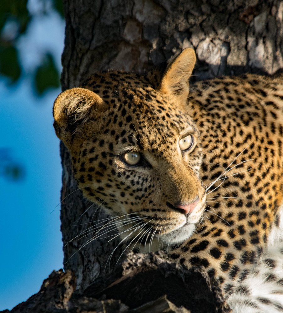 Sunrise first sightings