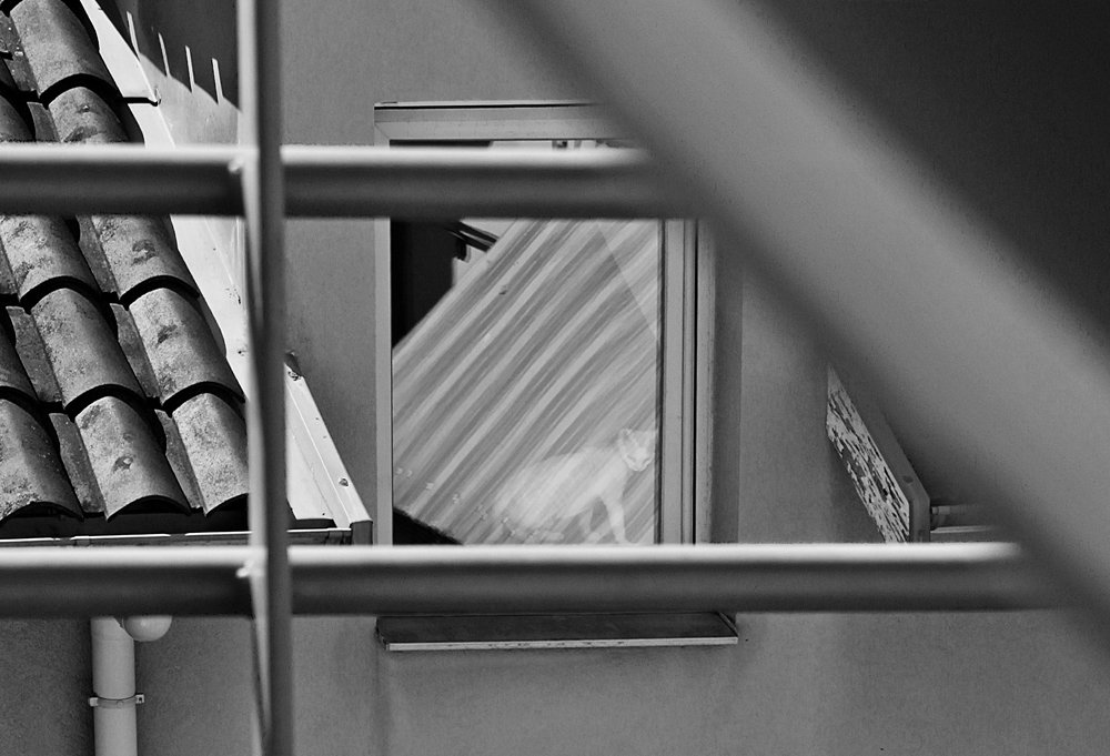 Life behind a window