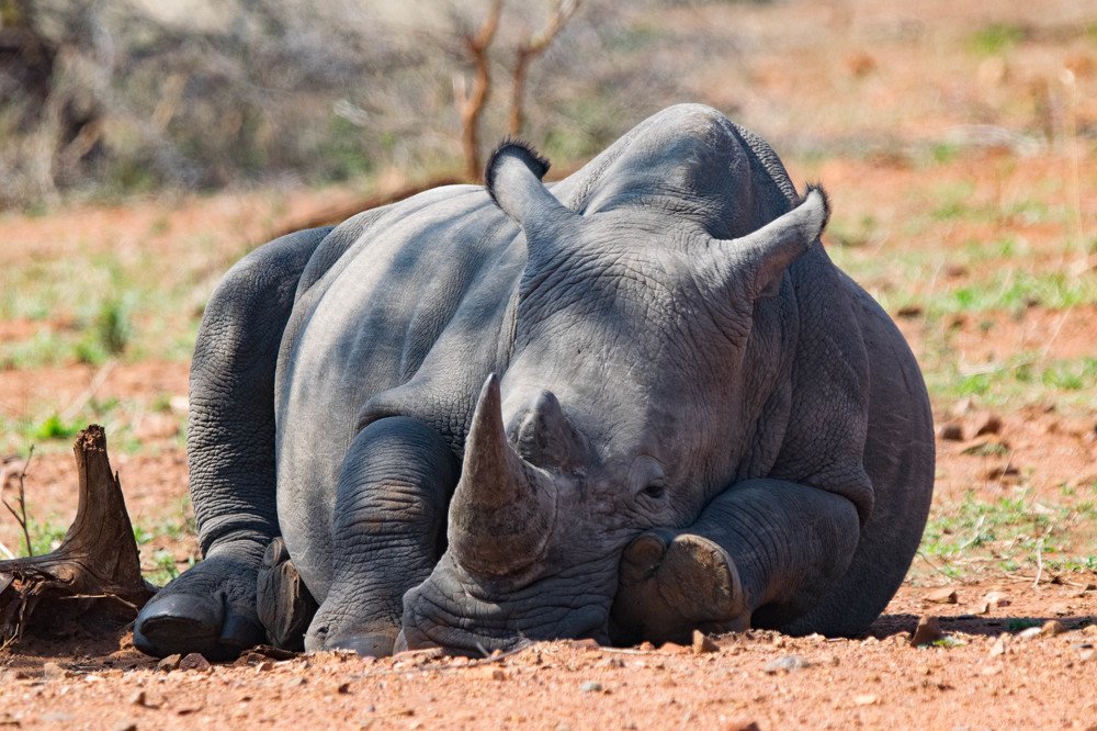 Photograph by mduduzi simon