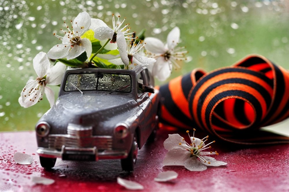 Photograph by Ирина