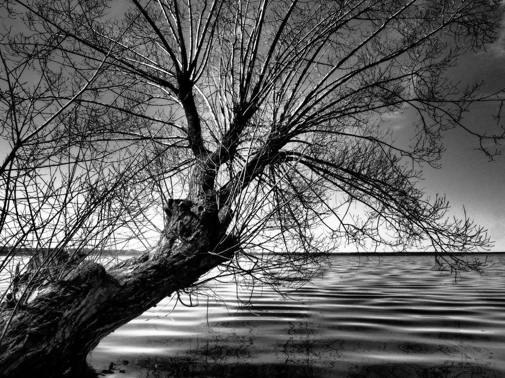 Плещеево озеро