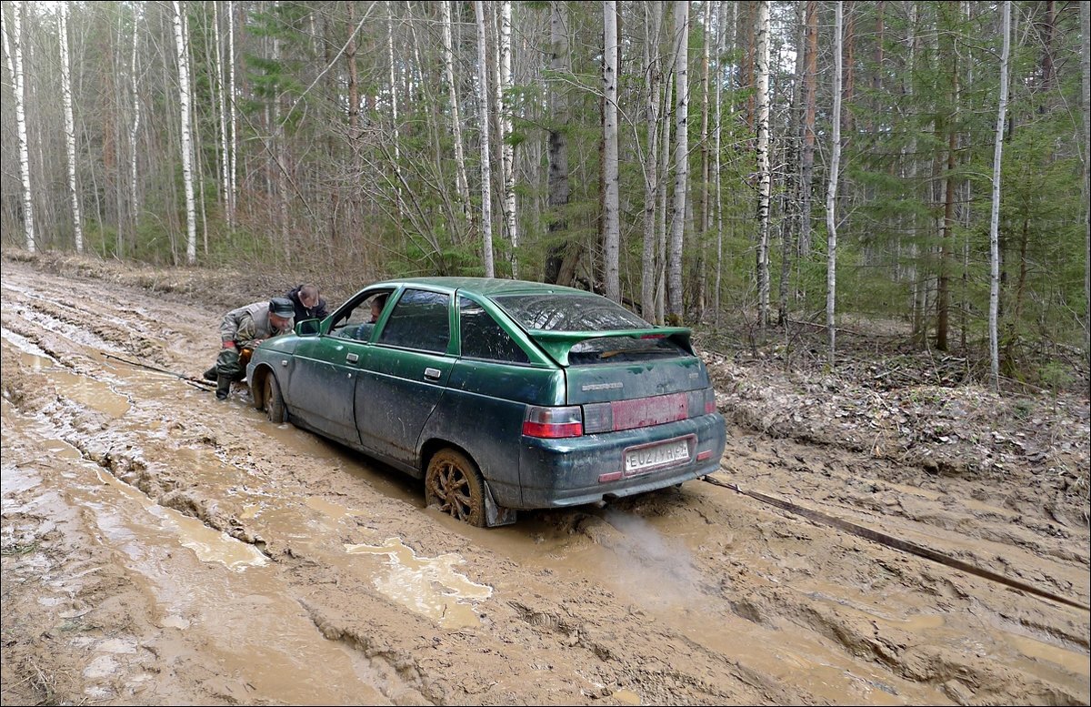 Photo #4574464