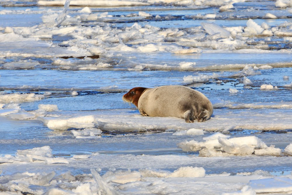 Photograph by Evgeniya Glinskaya