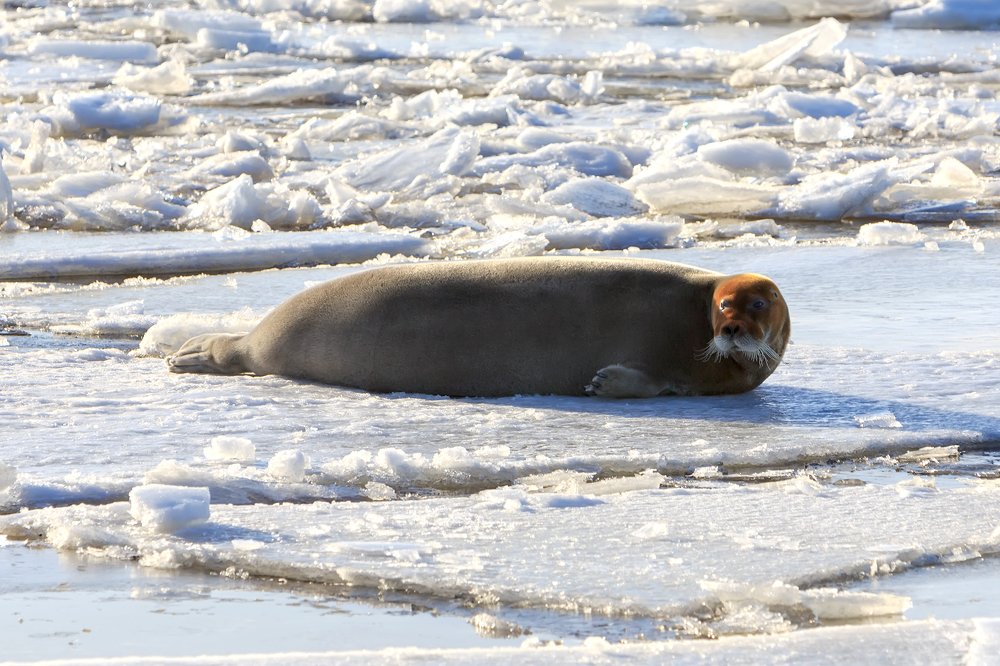 Photograph by Evgeniya Glinskaya