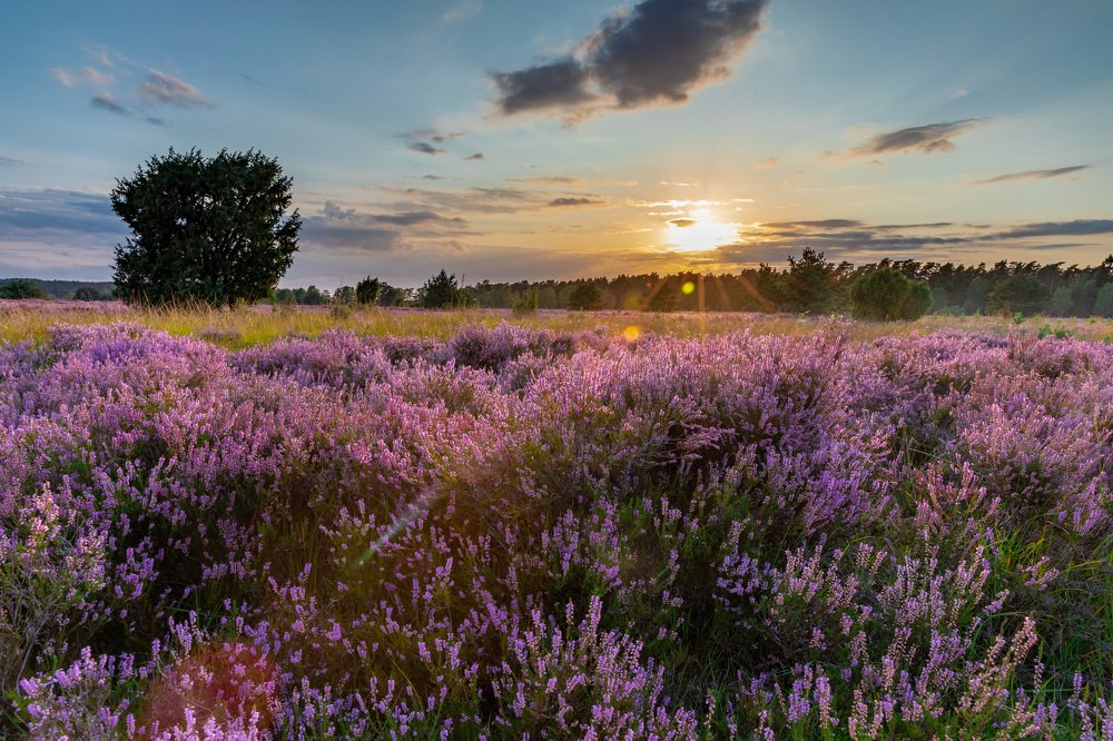 Photograph by Евгения Чех