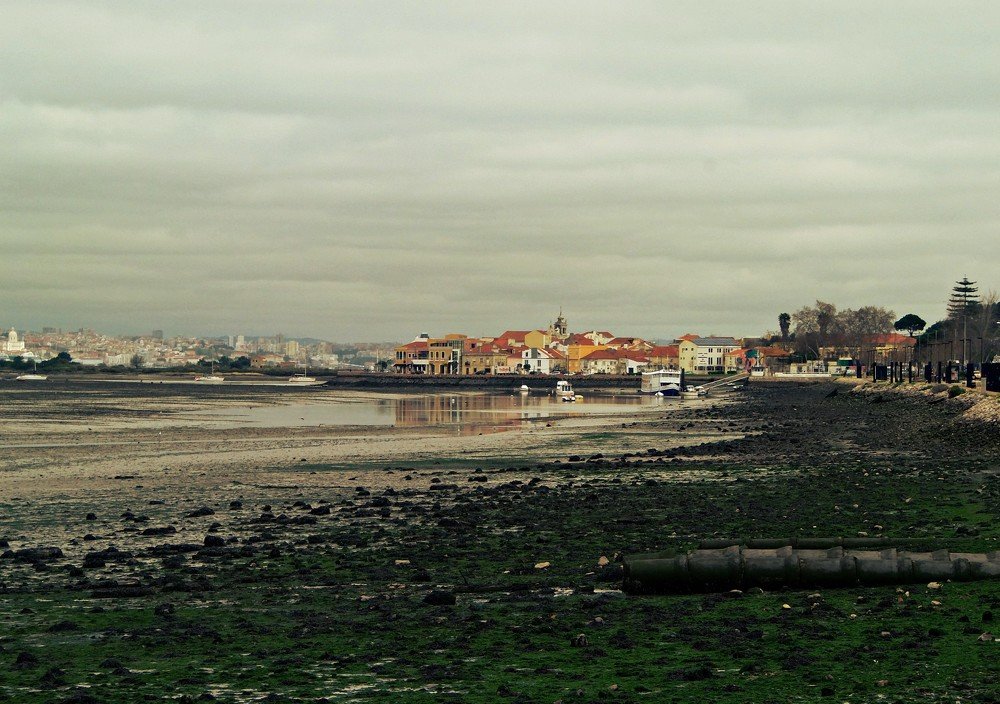 Photograph by Jorge Manuel da Silva Neves