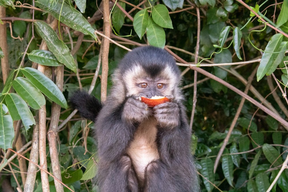 Photograph by Andressa da Costa Marchetto