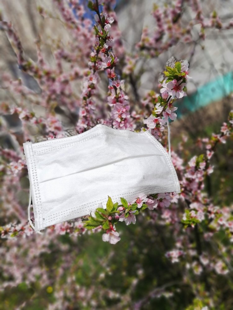 Photograph by Анна Рассинская