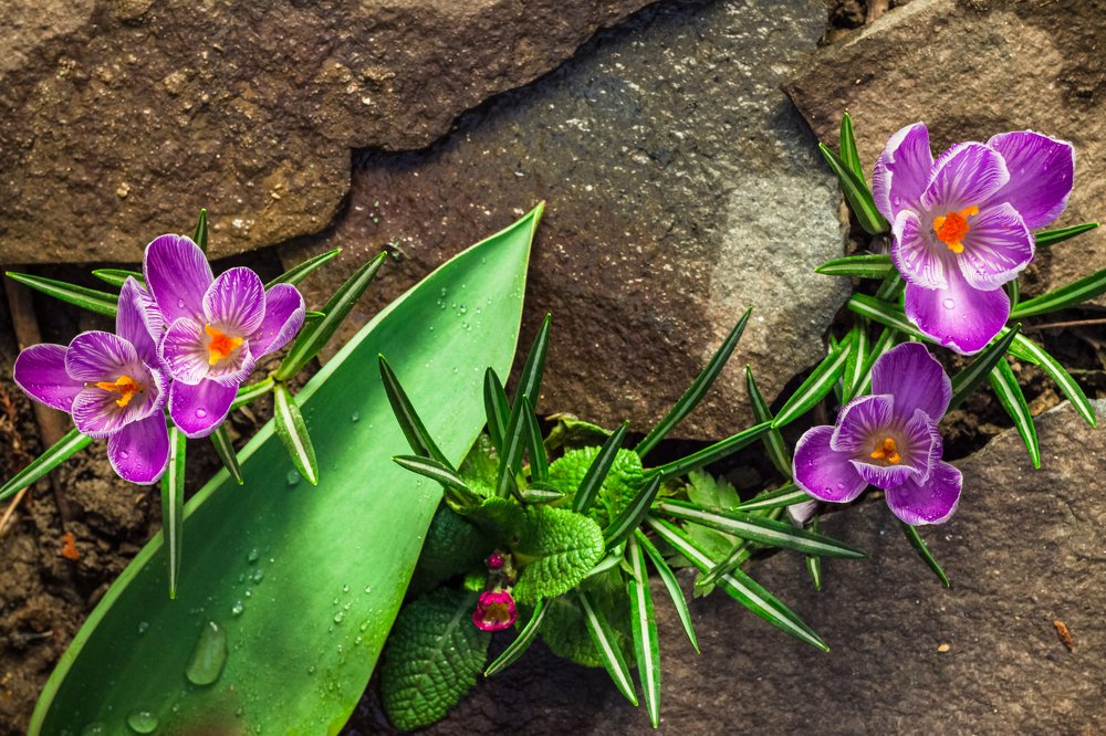 Photograph by Назар Назарук