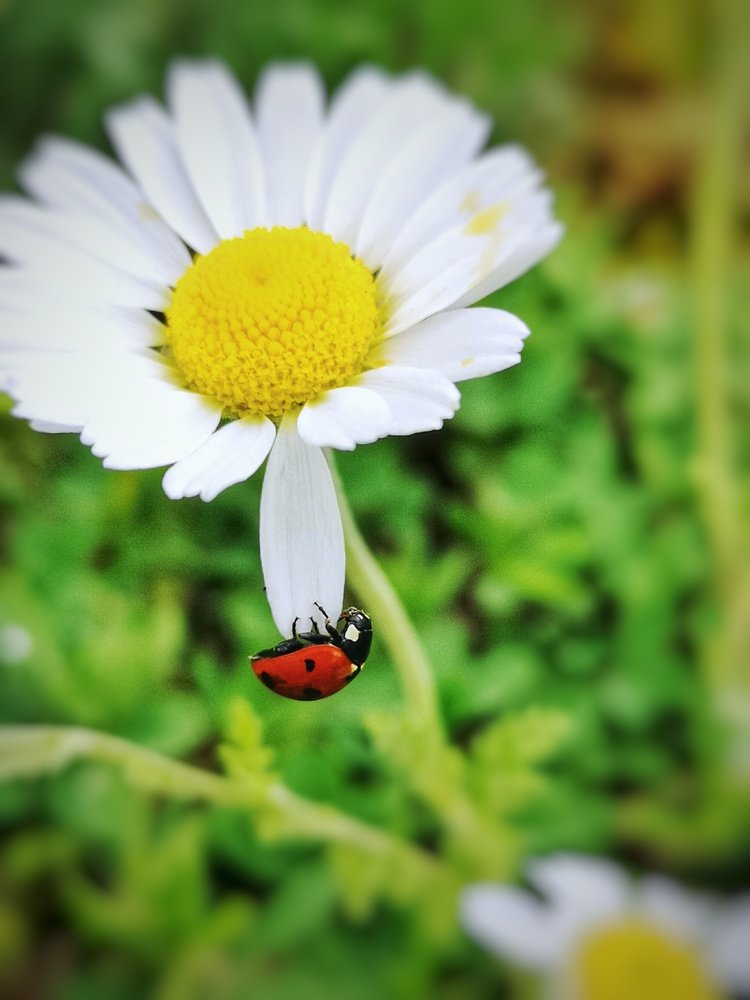 Photograph by Андрей Тур