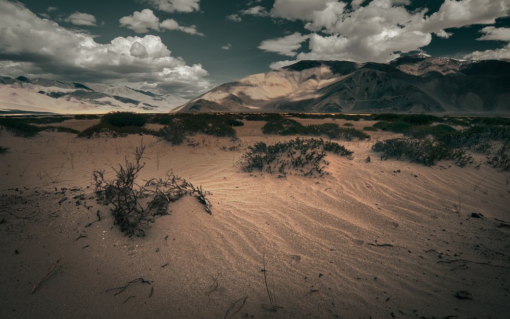 Photograph by ankur tambde