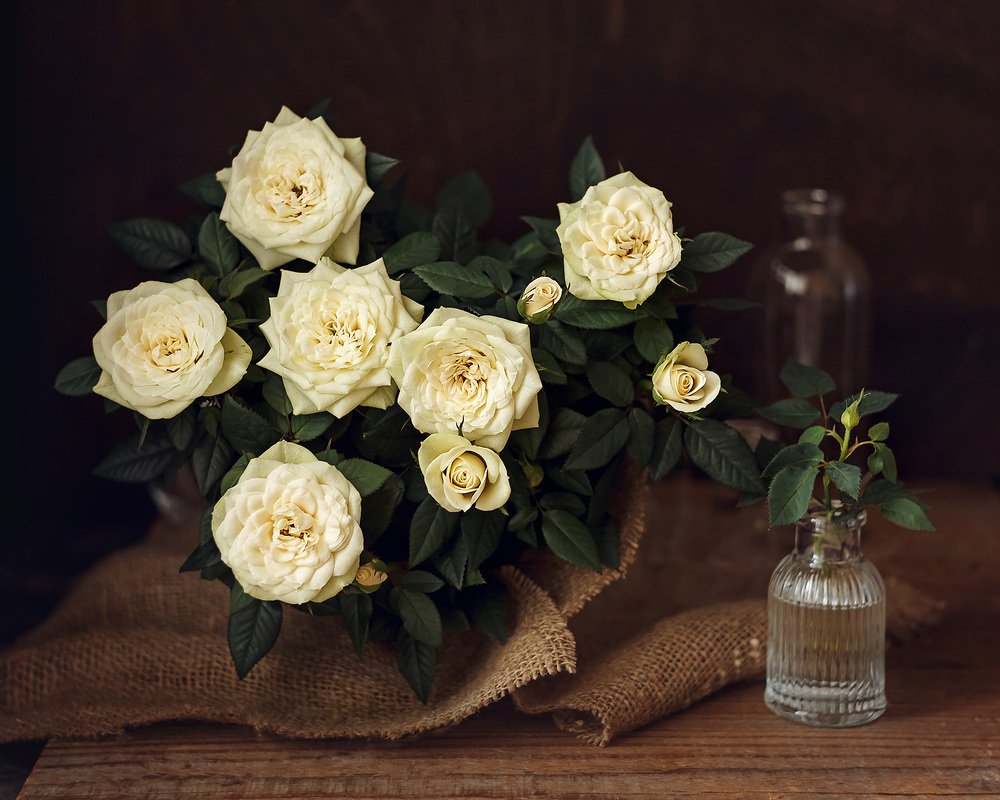 Photograph by Наталья Кабачек